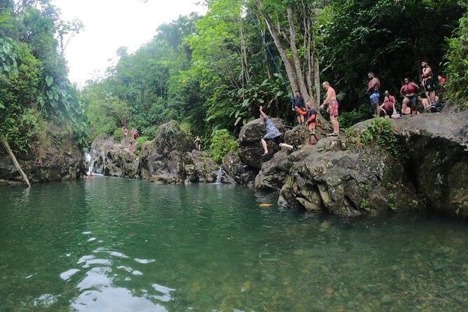 El Yunque Guided Waterfall Experience With Transport - Health and Safety Guidelines
