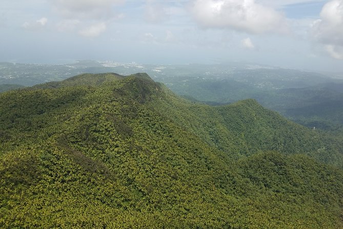 El Yunque Rainforest Full Day Private Tour - Pickup and Meeting Information