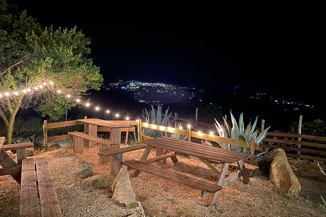 Elba Island Farmhouse Tasting Experience - Meeting and Pickup
