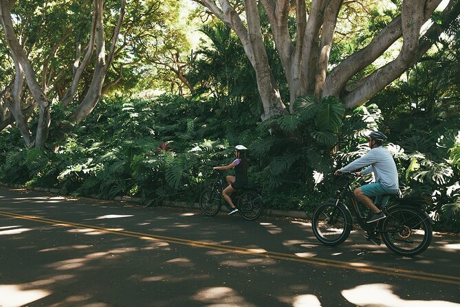 Electric Bike Rental in South Maui, Kihei - Meeting and Pickup Details