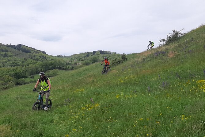 Electric Scooter Ride in the West of Lyon - Participant Requirements