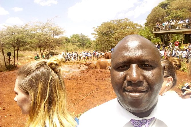 Elephants,Giraffe Center, Blixen Museum $ Bomas of Kenya - Review Insights