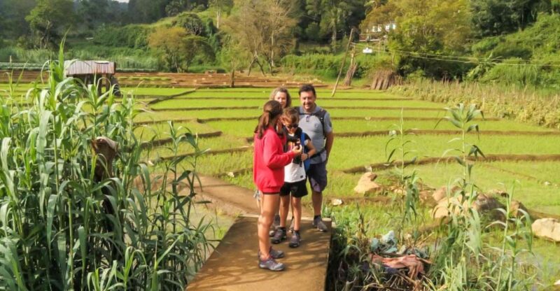 Ella: 9 Arch Bridge, Ella Rock, & Little Adam'S Peak Tour - Booking Information