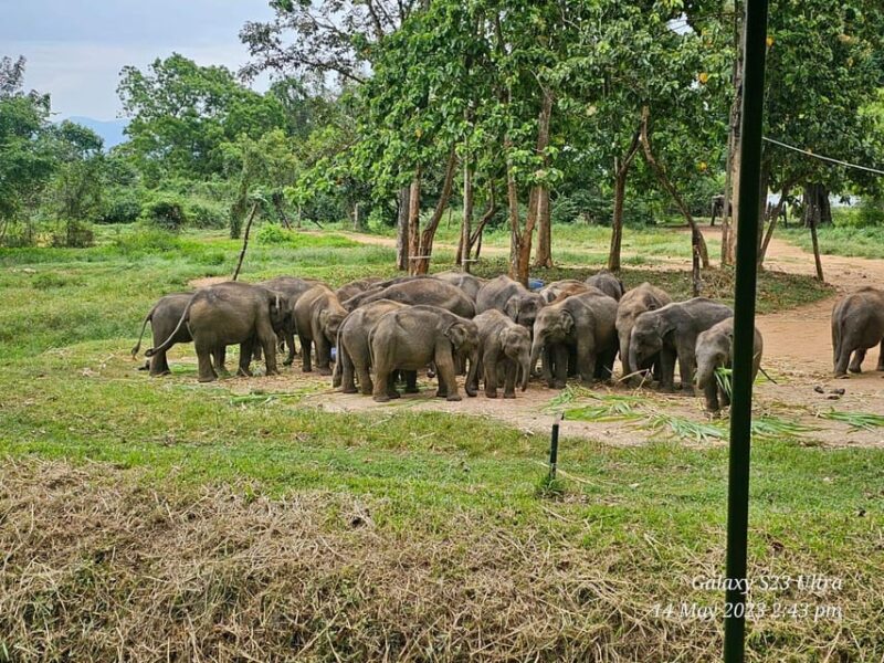 Ella Train Trip & Udawalawa Private Day Tour - Frequently Asked Questions