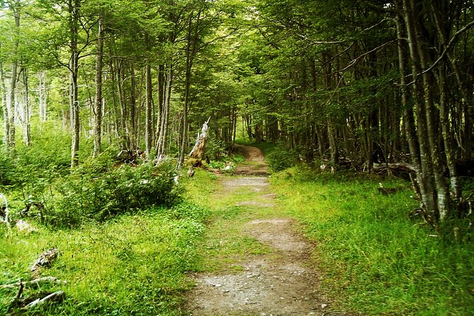 Emerald Lagoon Private Trekking Tour - Pickup and Transportation