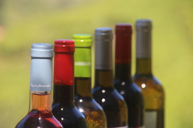 Enchanted Vineyards, Wine 4x4 Tour and Sea Cliff Cabo Girão - Pickup Information