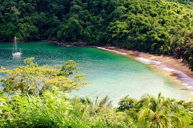 Englishmans Bay Day Trip With Lunch - Pricing and Cancellation Policy