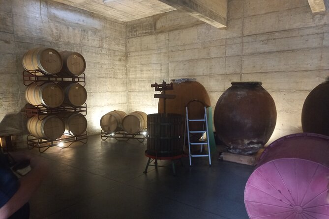 Enjoy The Algarvian Wine Taste & Coast Line Private Van Tour - Accessibility Information