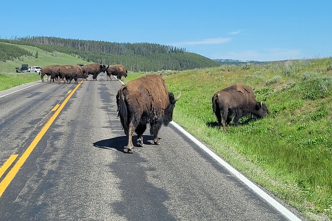 Epic Yellowstone Private Tour - Tour Schedule and Details