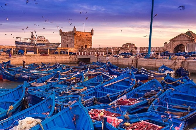 Essaouira – Every Surfer's Dream (privé) - Discovering Essaouiras Picturesque Fishing Harbor