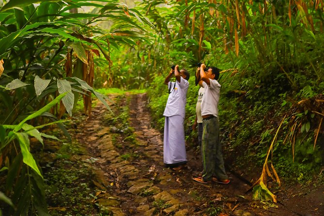 Essence of Munnar in a Day - Tips for Your Munnar Adventure