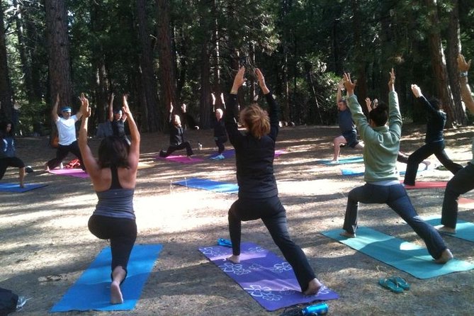 Etna Volcanic Yoga and Meditation Weekend (Private Experience) - Booking Information and Policies
