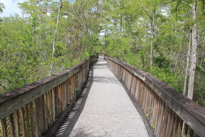 Everglades Day Safari From Miami - Accessibility and Requirements