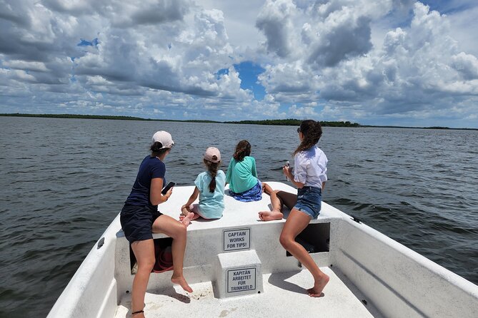 Everglades National Park Biologist Led Hike, 2 Boat Trips + Lunch - Accessibility Features