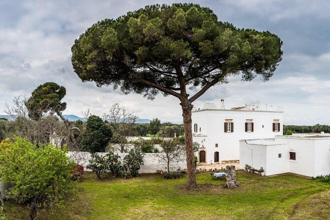 EVO Oil Tasting in Masseria in Ostuni - Visitor Testimonials and Takeaways