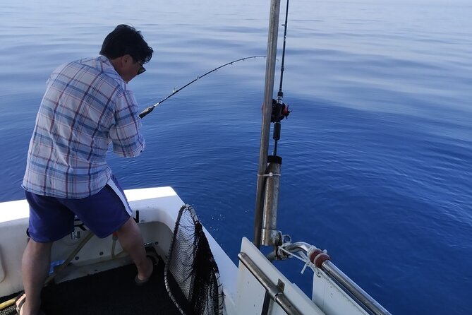 Exciting Fishing Trip in Athens - What to Expect During the Tour