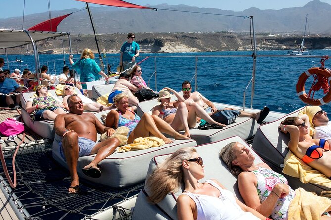 Exclusive Freebird Catamaran Whale & Dolphin to Masca From South - Accessibility and Participation