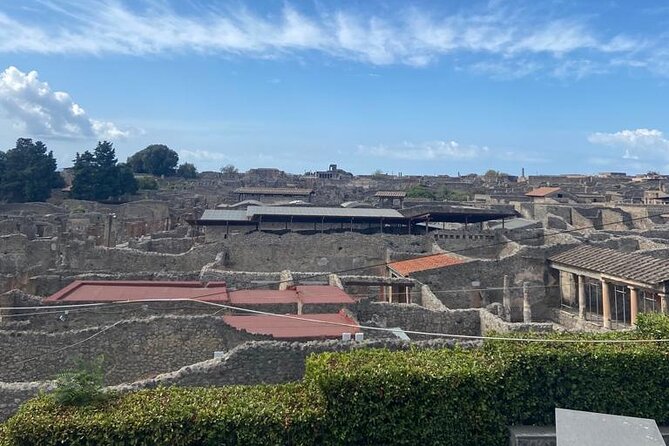 Exclusive Half-Day Tour in Pompeii With Skip the Line Tickets - Meeting and Pickup Details