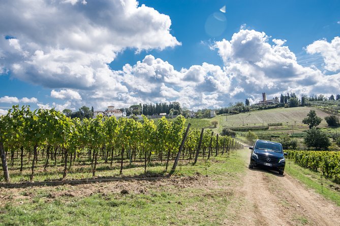 Exclusive Pisa and Wine Tour - Cancellation Policy