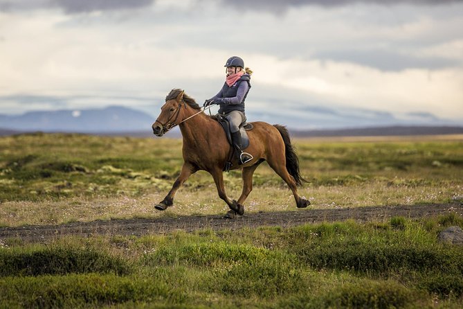 Exclusive Riding Program for Advanced Horse Riders - Give Me 5! - 2 to 3 Hours - Cancellation and Refund Policy