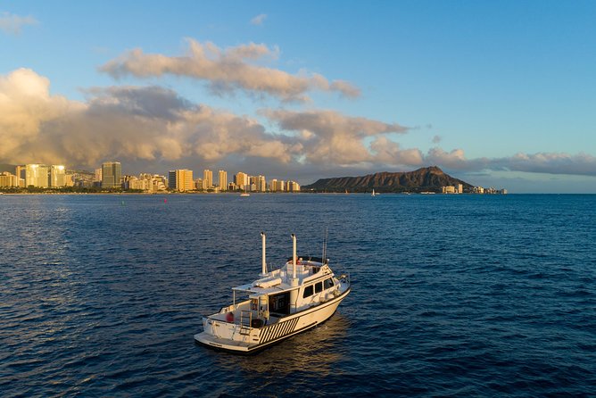 Exclusive Waikiki Boat Tour - Notable Review Highlights
