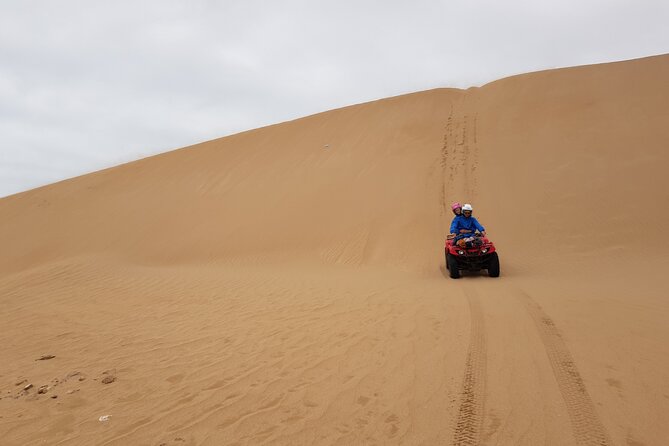 Excursion: 1h/Quad+1h/Camels (Free Transfer) - Quad Biking Experience