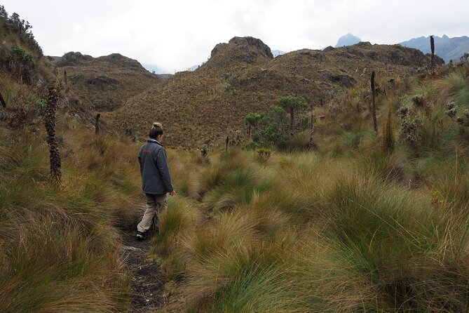 Excursion Day Cajas National Park From Guayaquil - Meeting and Pickup Details