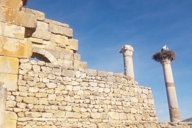 Excursion Meknes Volubilis - Accessibility Information