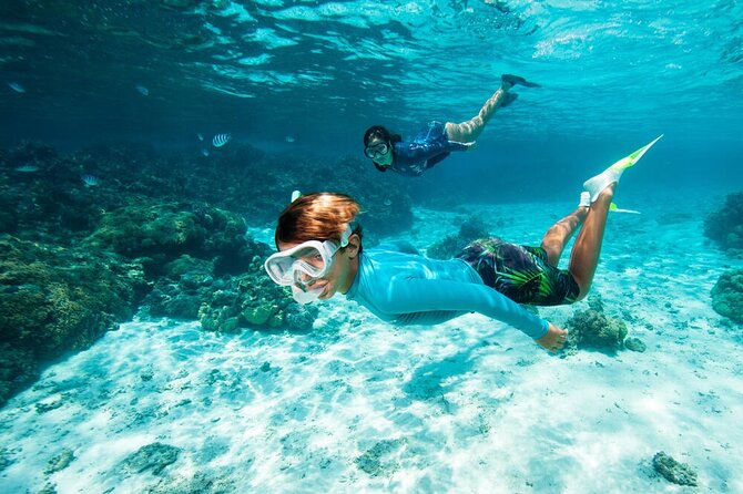 Excursion to Nabq National Park and Oasis Bay Sharm El Sheikh - Meal and Refreshment Details