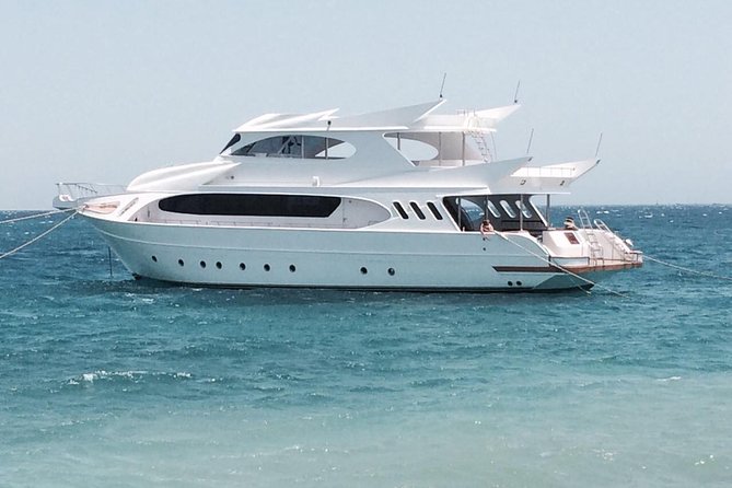 Excursion to Paradise Island From Hurghada / Makadi Bay / Sahl Hasheesh / El Gouna - Meeting and Pickup Details