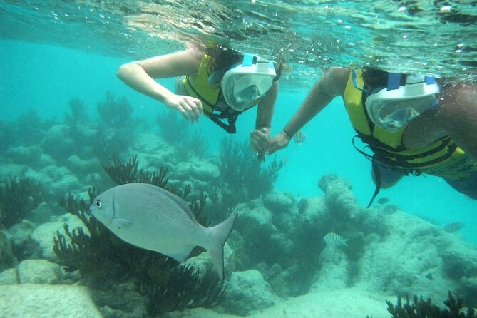 Exotik Half a Day Tour: Cenote Cave and Swimming With Sea Turtles - What to Expect and Recommendations