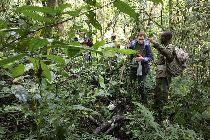 Experience Chimpanzee Trekking in Budongo Forest - Meeting and Pickup Logistics