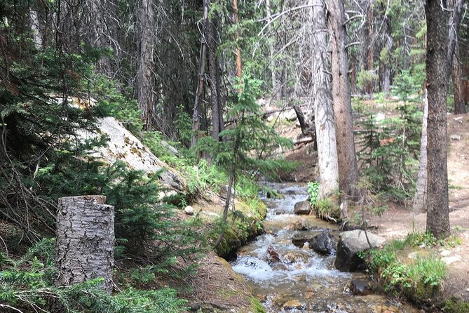 Experience the Tallest Point in Colorado Mt Elbert - Guides for the Tour