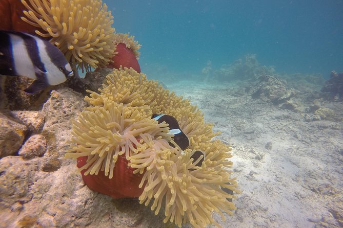 Exploration Dives - Inclusive Scuba Equipment