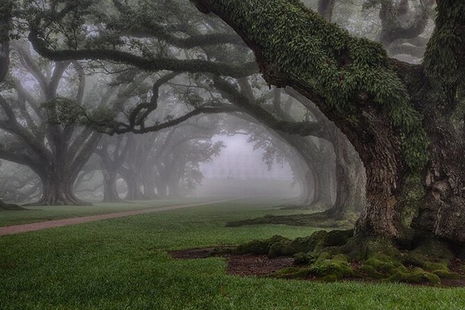 Explore Oak Alley Plantation Guided Tour With Transportation - Cancellation Policy