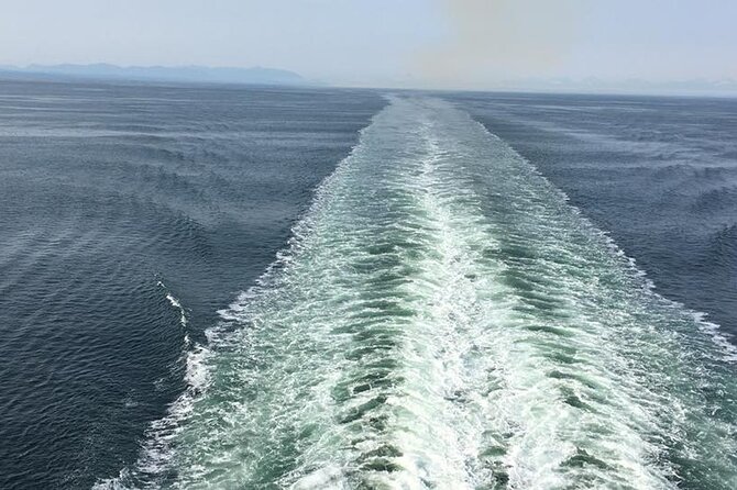 Explore Olympic National Park From Seattle Through Van /Ferry - Traveler Reviews and Experiences