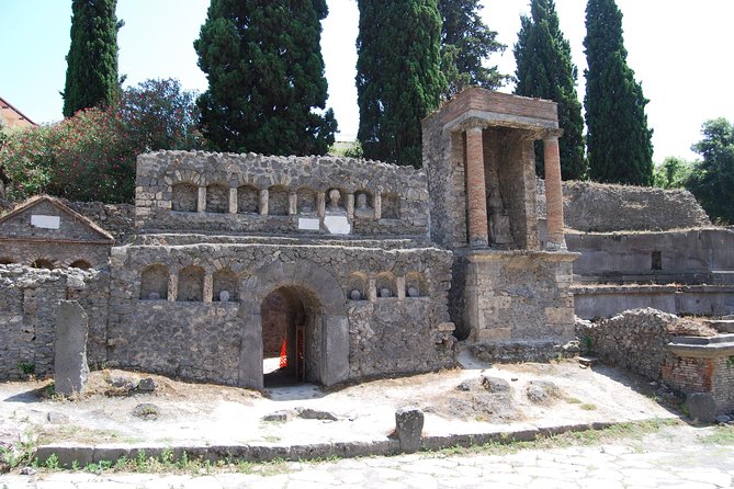Explore Pompeiis Ruins With Your Private Archaeologist - Accessibility and Participation