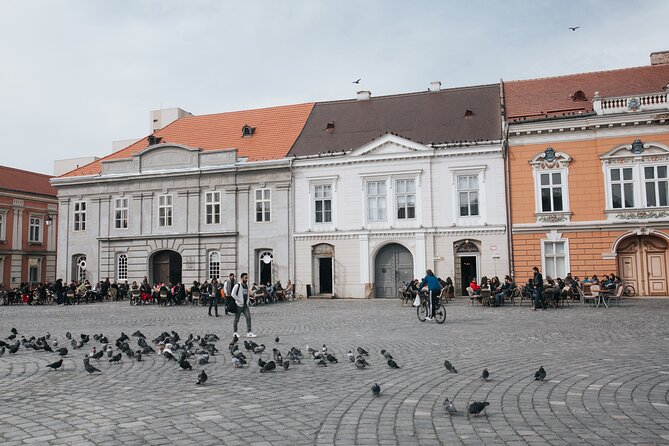 Explore Timisoara in 60 Minutes With a Local - Practical Information for Visitors