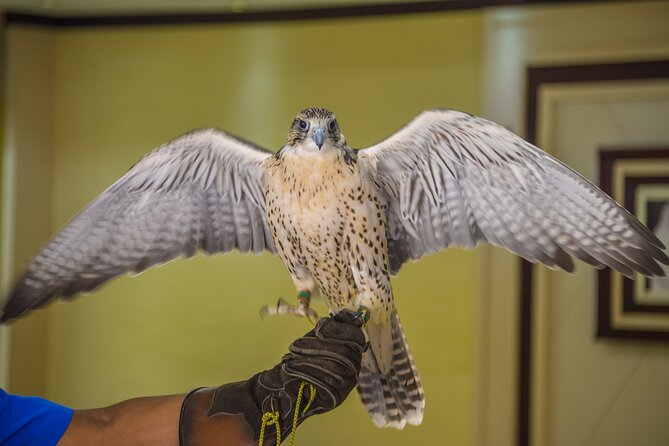 Falcon Hospital Tour Abu Dhabi - Guides Passion and Knowledge
