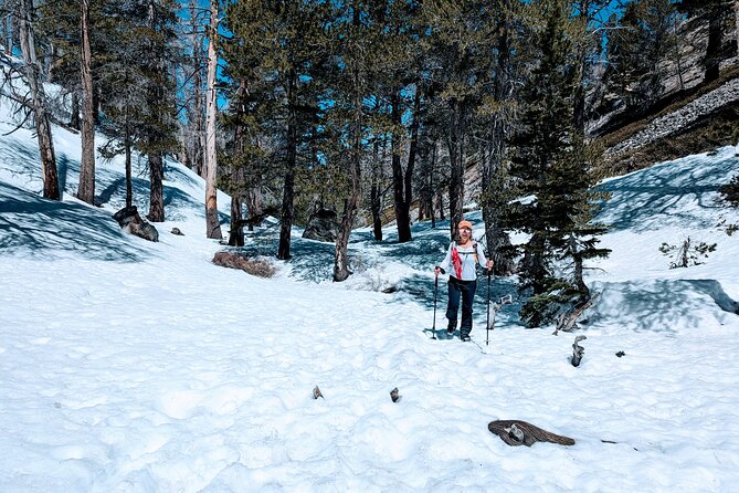 Family-Friendly Nature Hike Around the Big Bear Valley - Meeting Location and Arrival