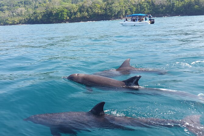 Family Package Private Fishing and Snorkeling - The Private Fishing Adventure