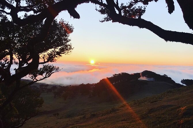 Fanal Forest Private Sunset Hike - Pricing and Inclusions