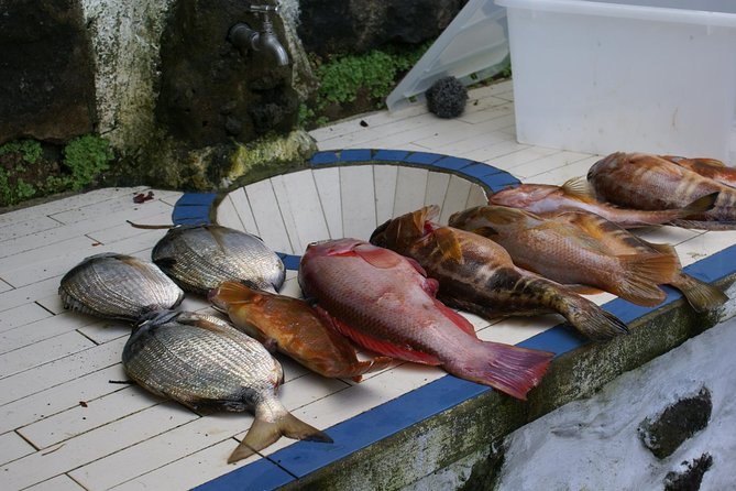 Fish In the Azores - Freshly Prepared Onboard Lunch