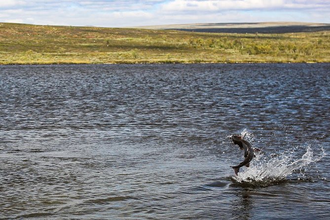 Fishing for Fun in Rovaniemi - Customer Reviews and Ratings