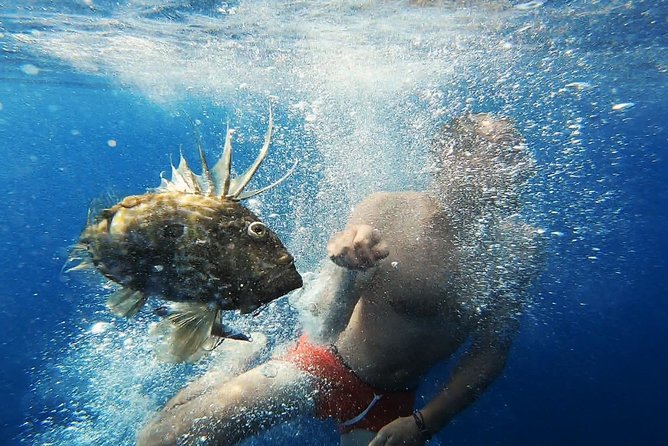 FISHING Tour to VIS and BIŠEVO Islands - Full Day Experience - Meeting Point and Pickup
