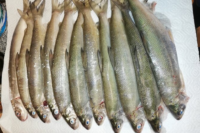 Fishing Tour With a Fishing Boat at Lake Constance (Untersee) - Booking Considerations