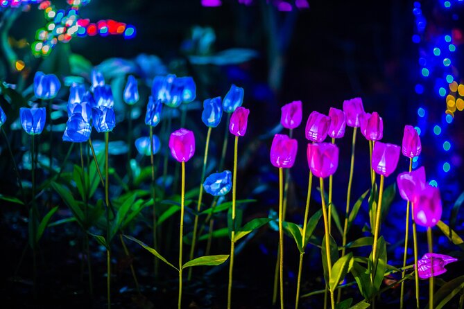 Flamingo Gardens Garden of Lights - Attractions and Activities Overview