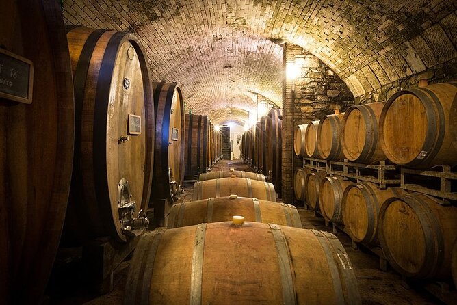 Florence & Pisa Shore Excursion With Chianti Wine Tasting - Private Transportation for Convenience