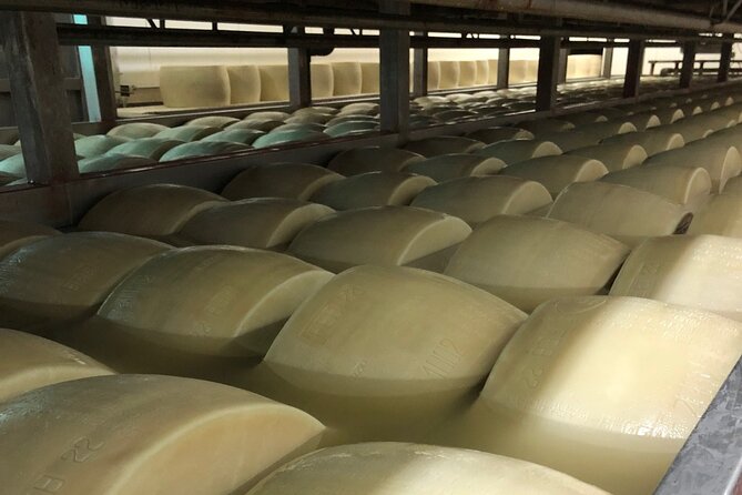 Food Excellences:Prosciutto, Parmigiano, Balsamic,Lunch,Transport - Balsamic Vinegar Producer Tour