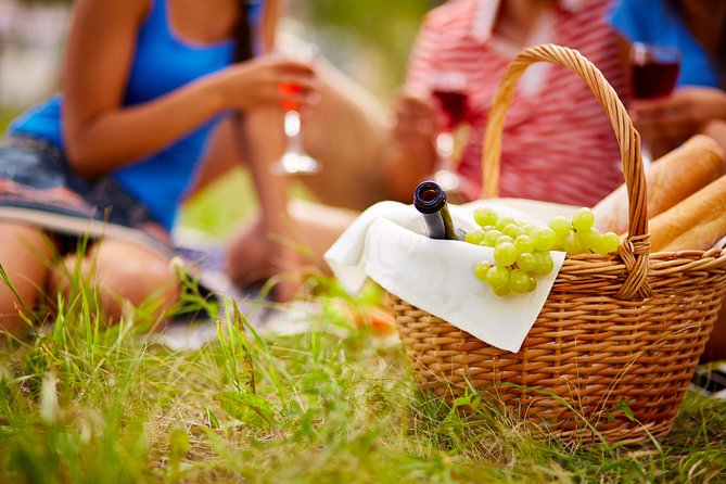 Food Tour Excursion in Provence ! - Itinerary Highlights